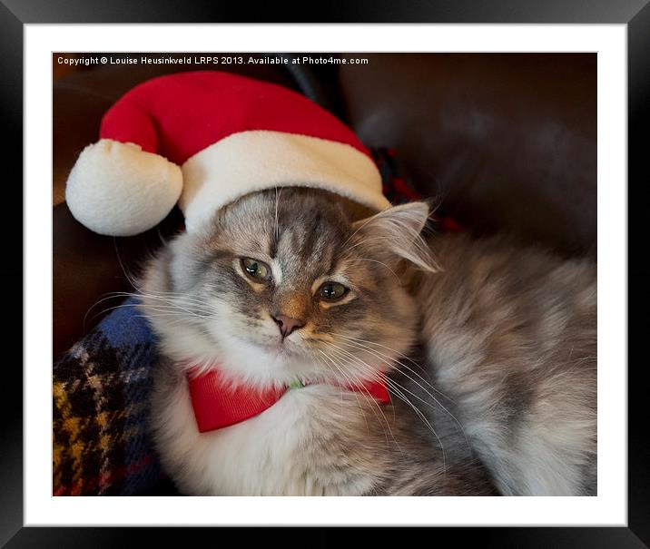 Christmas Kitten Framed Mounted Print by Louise Heusinkveld