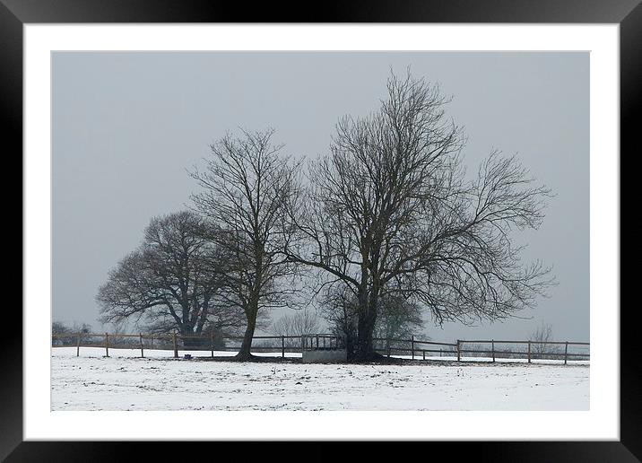 Wintery Trees Framed Mounted Print by Ursula Keene