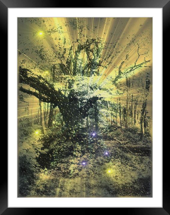 Snow Tree. Framed Mounted Print by Heather Goodwin