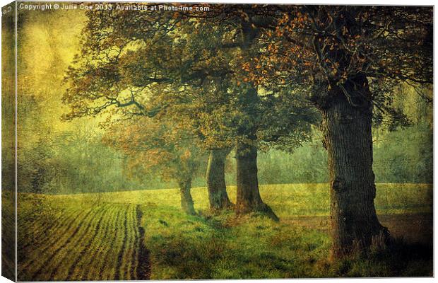 Dark and Grainy Trees Canvas Print by Julie Coe