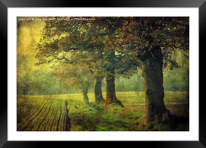 Dark and Grainy Trees Framed Mounted Print by Julie Coe