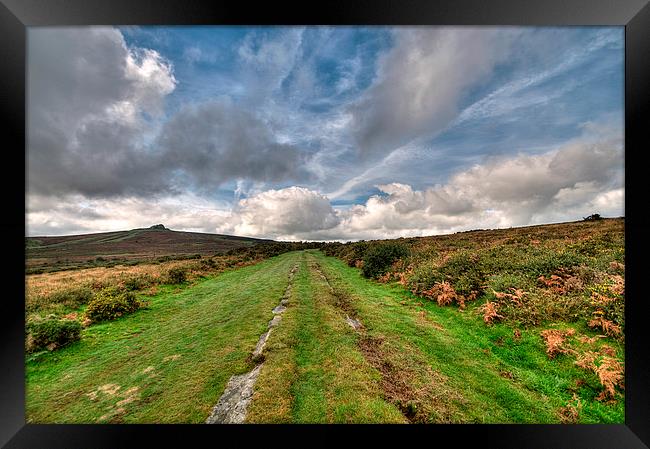 Granite Tramway Haytor on Dartmoor Framed Print by Rosie Spooner