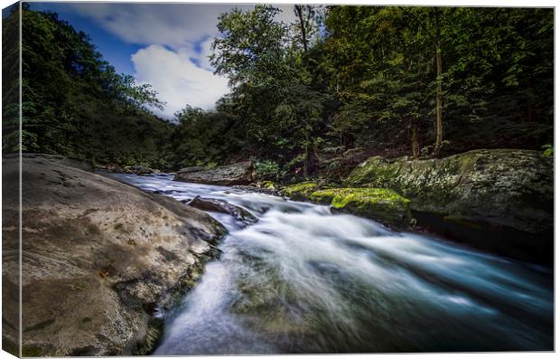 rapids in the gorge Canvas Print by Lou Divers