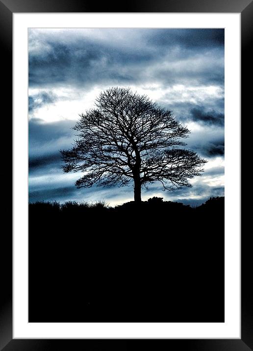 Lone Tree Silhouette Blue Framed Mounted Print by Neil Ravenscroft