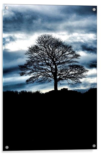 Lone Tree Silhouette Blue Acrylic by Neil Ravenscroft