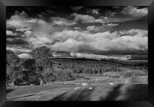 Esthwaite Water Framed Print by Graham Moore