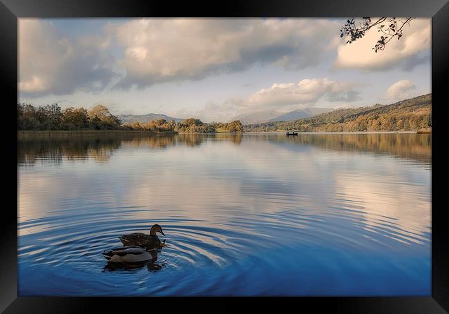 Esthwaite Water Framed Print by Graham Moore