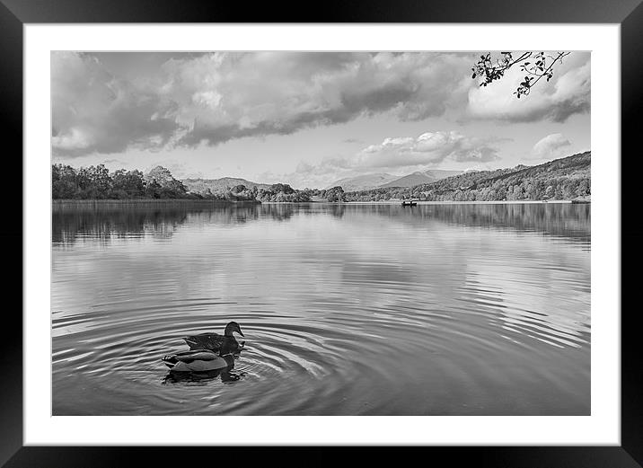 Esthwaite Water Framed Mounted Print by Graham Moore