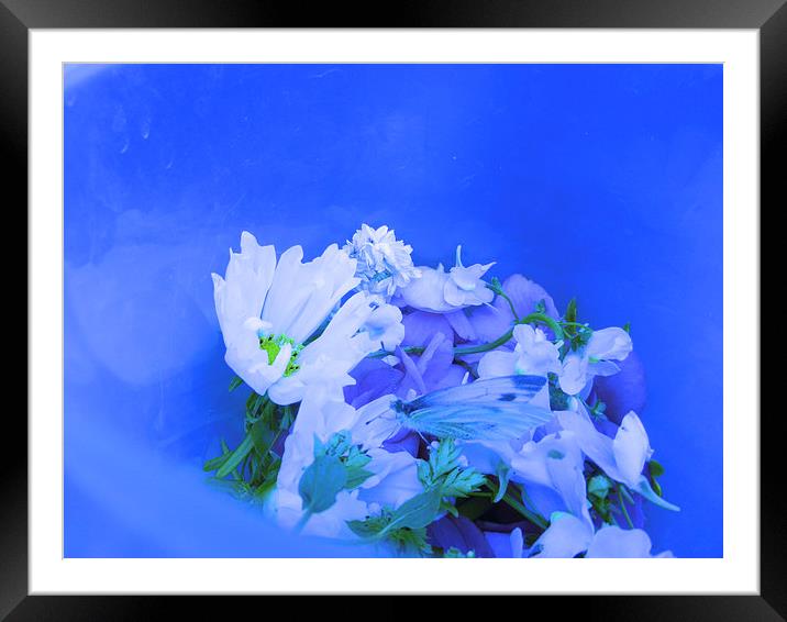 Blue Butterfly Bouquet Framed Mounted Print by Carmel Fiorentini