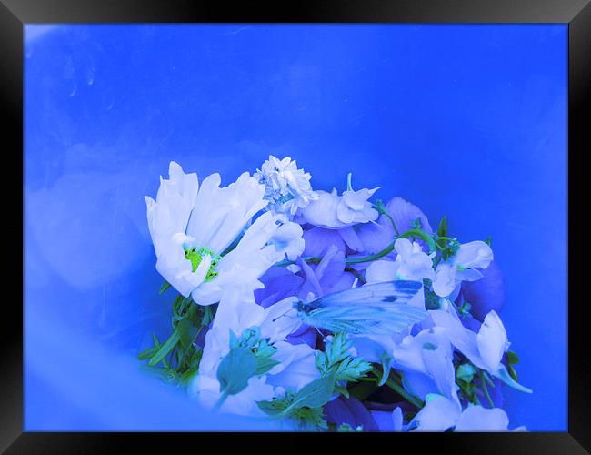 Blue Butterfly Bouquet Framed Print by Carmel Fiorentini