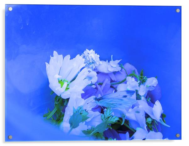 Blue Butterfly Bouquet Acrylic by Carmel Fiorentini