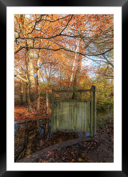 The Gate Framed Mounted Print by Lamar Francois