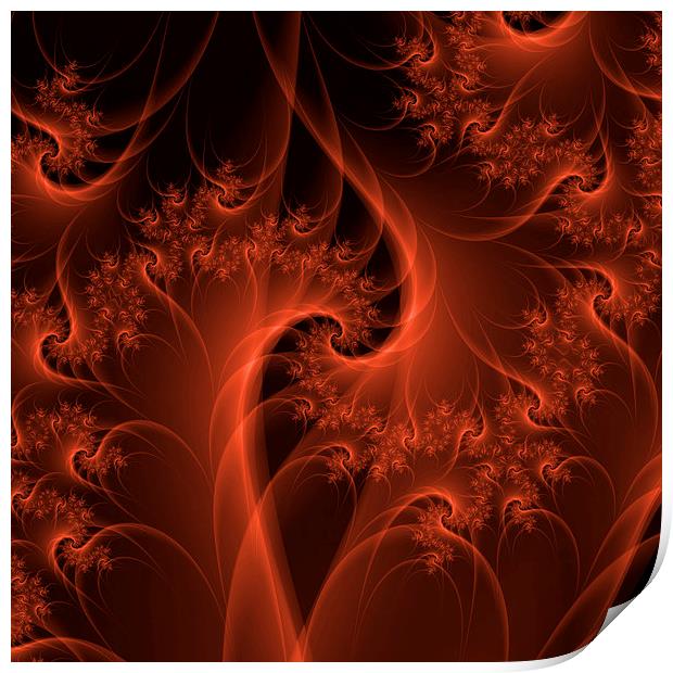 Burning Orange Twist Print by Colin Forrest