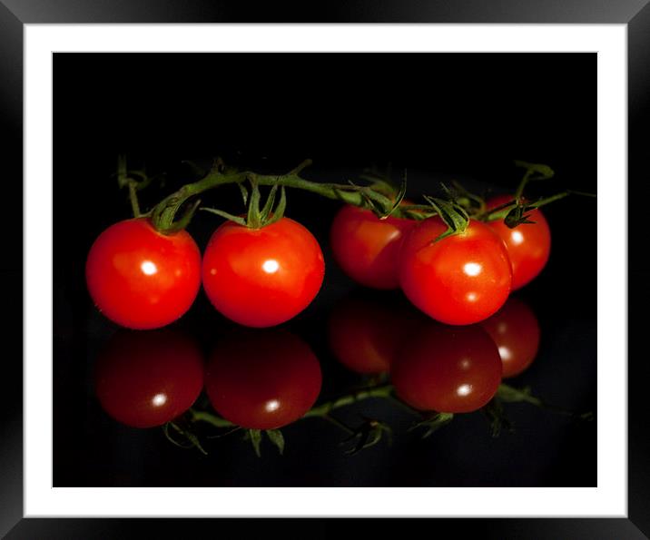 Ripe and juicy Vine tomatoes Framed Mounted Print by anna collins