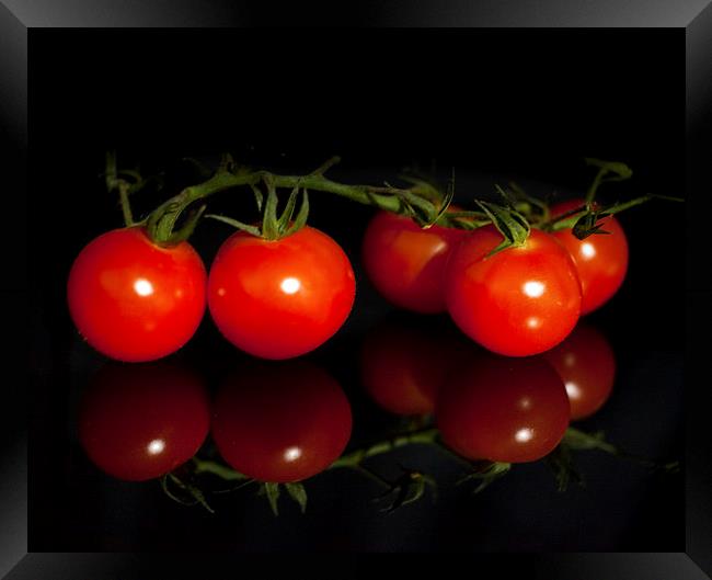 Ripe and juicy Vine tomatoes Framed Print by anna collins