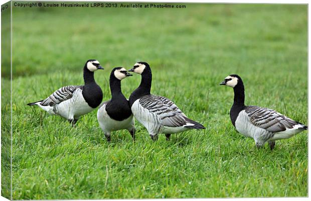 Barnacle Geese Canvas Print by Louise Heusinkveld