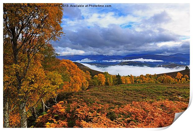 Misty day in the Cairngorms in Autumn Print by Louise Heusinkveld