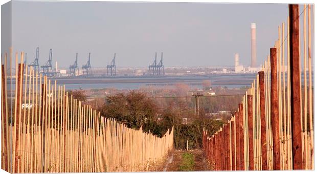 Isle of Grain/Sheerness Canvas Print by Claire Colston