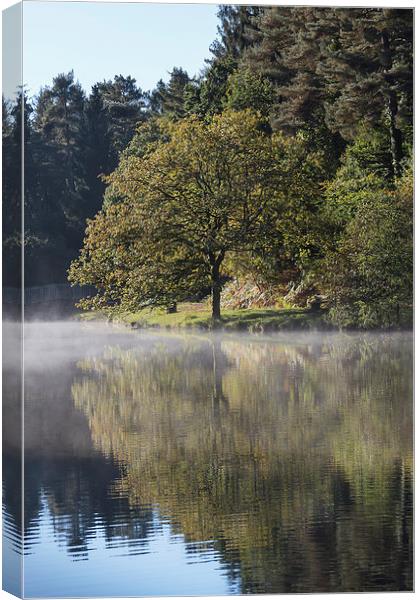 Misty Mallards Pike - 2 Canvas Print by David Tinsley