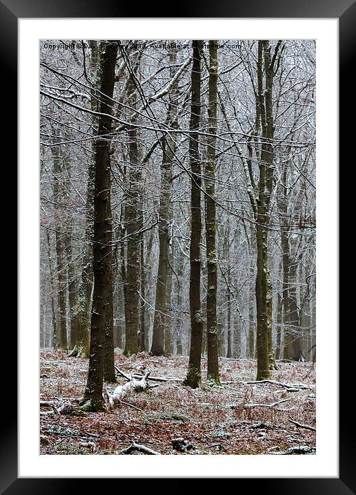 First Snow Framed Mounted Print by David Tinsley