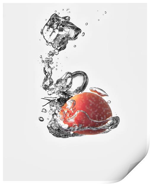 Tomato Splash Print by Nigel Jones