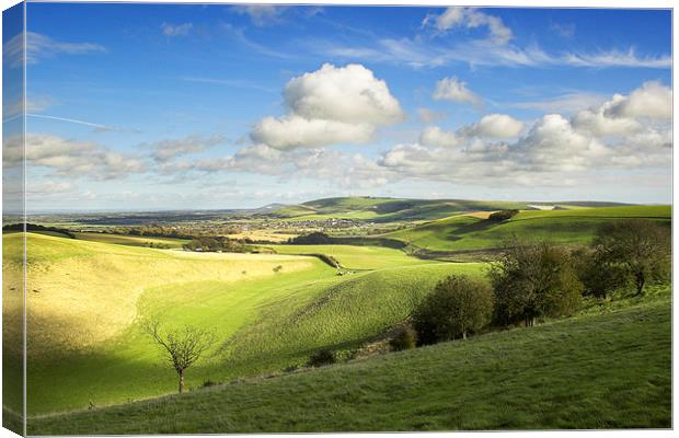 Along the Downs Canvas Print by Malcolm McHugh
