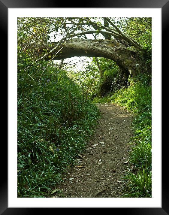 Hobbit Path Framed Mounted Print by malcolm fish
