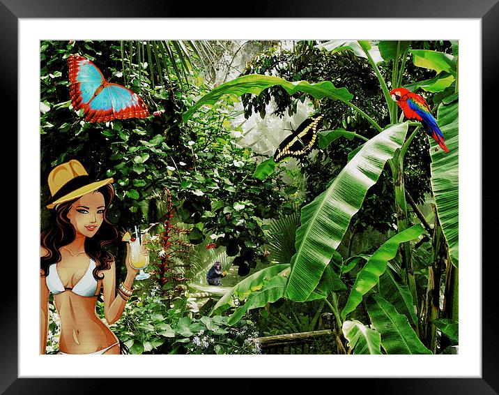 Jungle Cocktail Framed Mounted Print by John Ellis