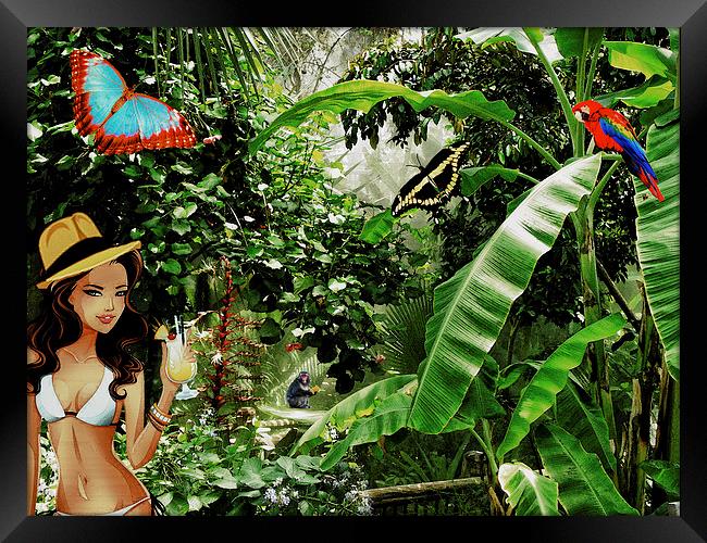 Jungle Cocktail Framed Print by John Ellis