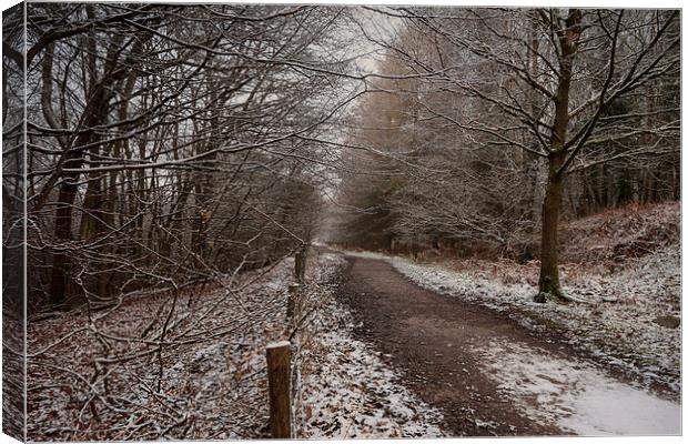 The Cycle Path In Winter Canvas Print by David Tinsley