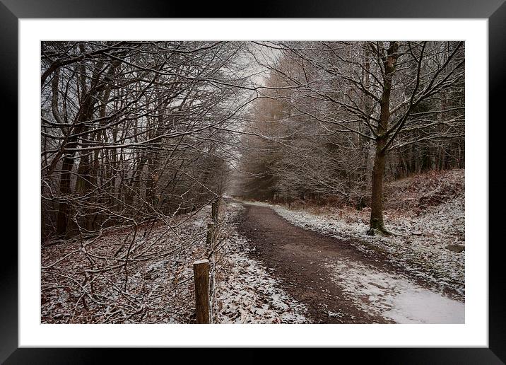 The Cycle Path In Winter Framed Mounted Print by David Tinsley