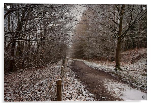 The Cycle Path In Winter Acrylic by David Tinsley