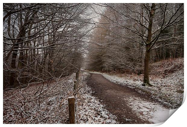The Cycle Path In Winter Print by David Tinsley