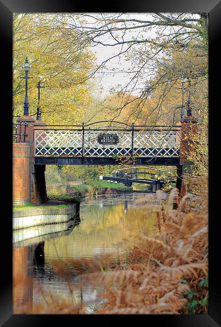 Kiln Bridge in Autumn Framed Print by Steve Hughes