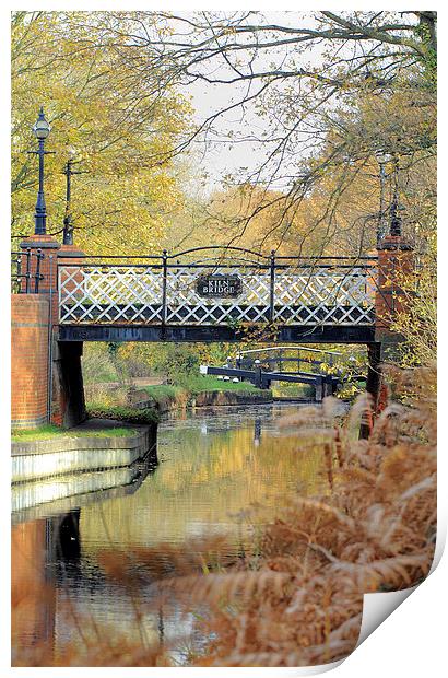 Kiln Bridge in Autumn Print by Steve Hughes