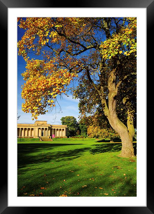 Weston Park Museum and Park Framed Mounted Print by Darren Galpin