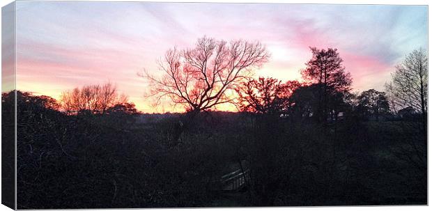Sunset behind the trees Canvas Print by malcolm fish