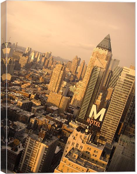 New York City Canvas Print by Terry Lee