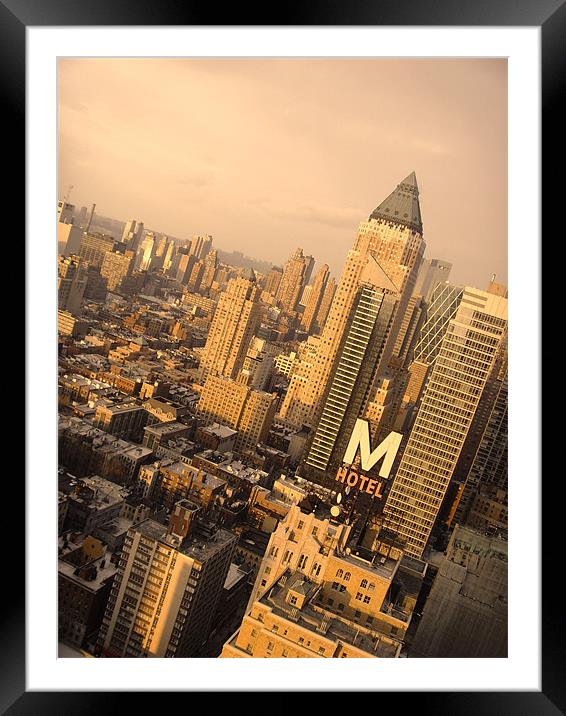 New York City Framed Mounted Print by Terry Lee