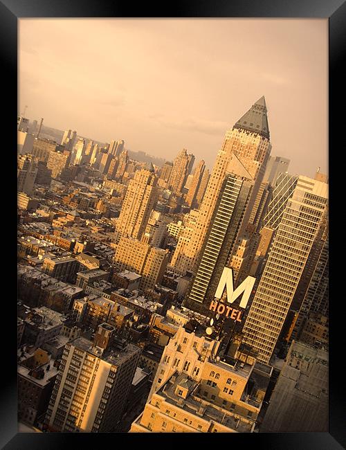 New York City Framed Print by Terry Lee