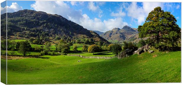 Langdale Pikes from Copt Howe Canvas Print by Graham Moore