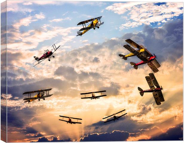 Tiger Moth Ballet Canvas Print by Chris Lord