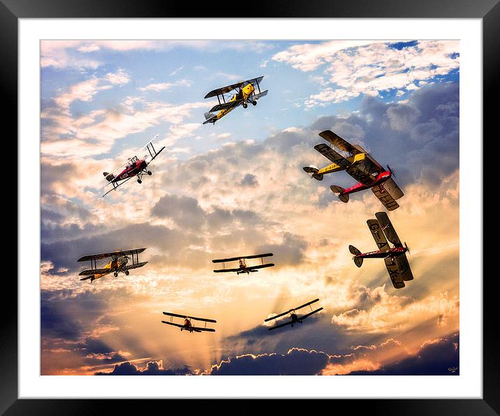 Tiger Moth Ballet Framed Mounted Print by Chris Lord
