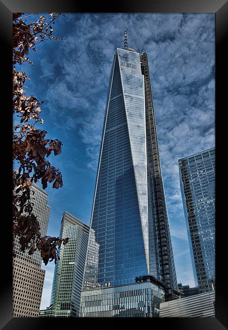 One World Trade Center Framed Print by Steve Purnell