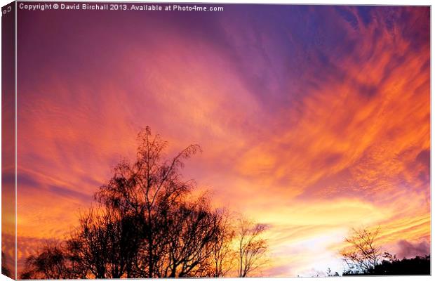Painted Sky Canvas Print by David Birchall