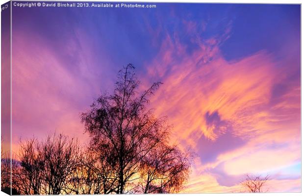 Fire In The Sky Canvas Print by David Birchall