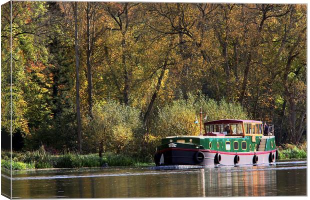 Boating on the river thames Canvas Print by Tony Bates