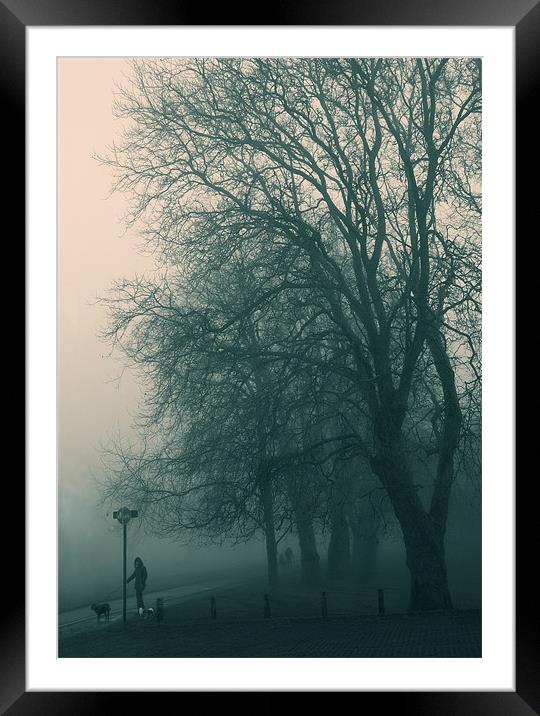Foggy day Framed Mounted Print by Paul Tremble
