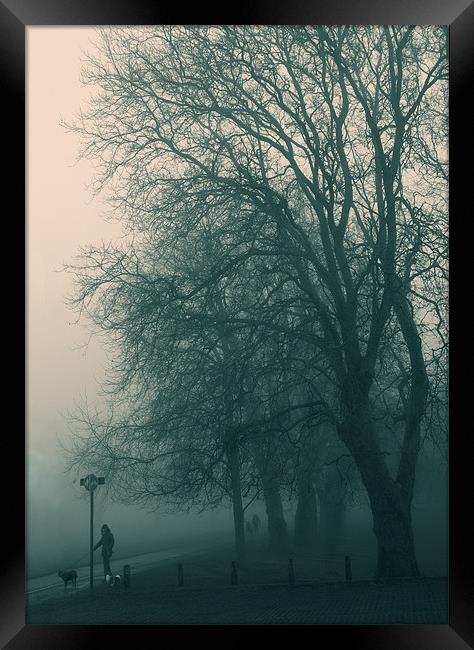Foggy day Framed Print by Paul Tremble