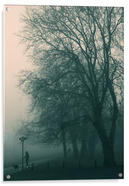 Foggy day Acrylic by Paul Tremble